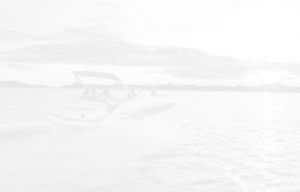 Motorboats can release Carbon Monoxide